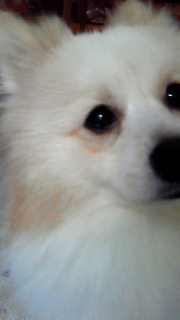 �͂�����