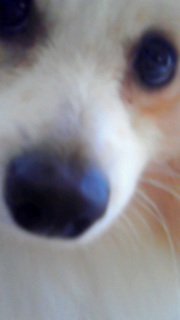 ���͂悤�������܂�