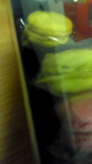 �v���Ԃ肾��