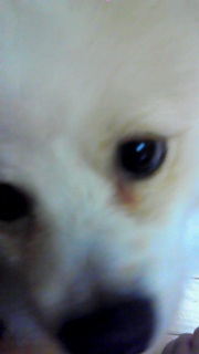 �������[