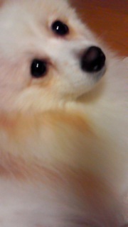 ���܂���