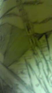 �l�^�o������