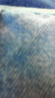 ���͂悲�����܂���