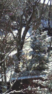 �䂫���񂱂�