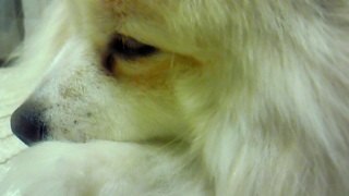 ���т�����