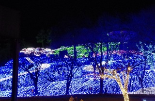 �C���~�l�[�V�����Ȃ�